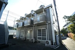 サザンカの画像