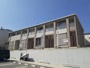 アドニスCの画像