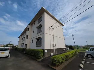 サンハイムの画像