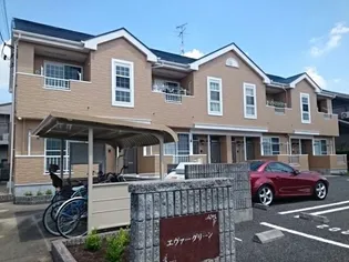 エヴァーグリーンの画像