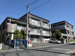 プラムエヌティーの画像