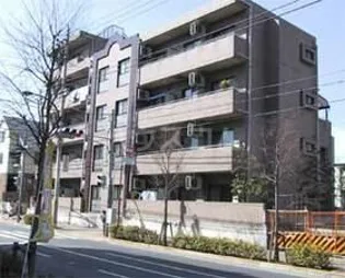 コモド ヴィータの画像