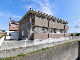 サン フローラの画像