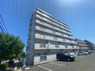 DIO HORI Ⅰの画像