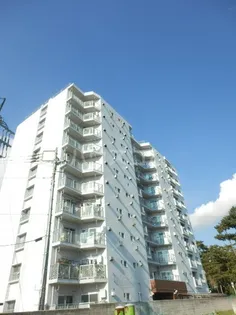 市川すがの住宅【5階】の外観