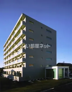 ピーノドゥーエの画像