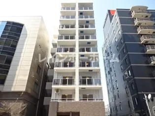 MARK FIELDSの画像