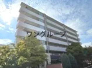 ALLIES MEADOWの画像