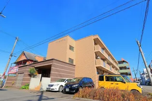 アクシオンIIIの画像