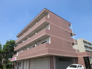 グローバル5の画像