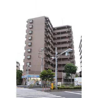サンフラワー第6の画像