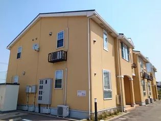 シャルマンの画像