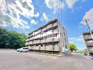 フォレストパークIIの画像