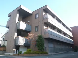 CORAL GARDENの画像