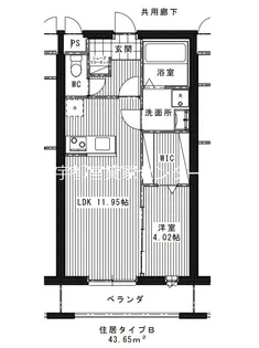 LUXE DE MINE【4階】の間取り
