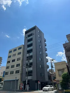 ルシエルミノワの画像