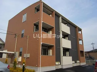 ハイツネゴシの画像