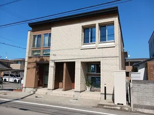 プリムローズティーの画像