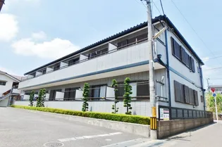 プリムローズVの画像