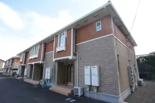 プラシードCの画像