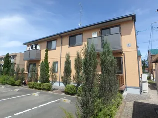 ルミエールの画像