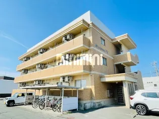 M'S DREAM VIIの画像