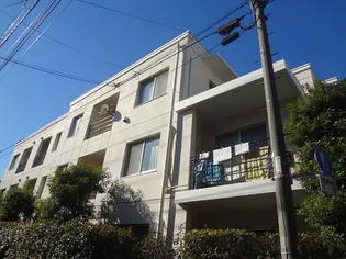 コリドーの画像