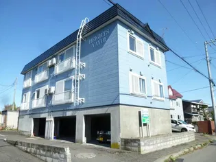 弥生ハイツの画像