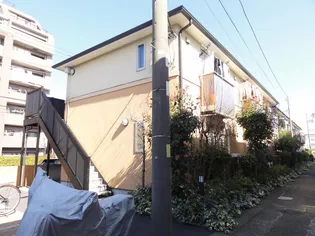 ルシールの画像