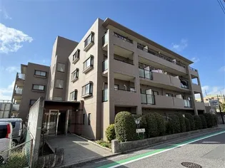 グラットシェルの画像