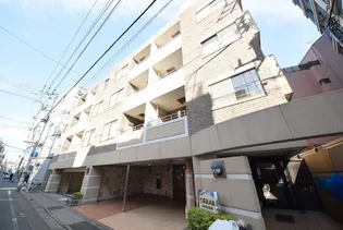 セーナ中野の画像