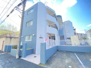 メイローズ原木の画像