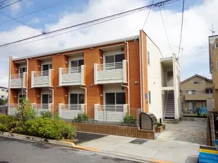 レオネクストマリンゴールドの画像