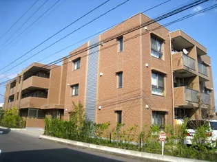 コルタードの画像