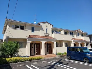 エヴァーグリーンAの画像