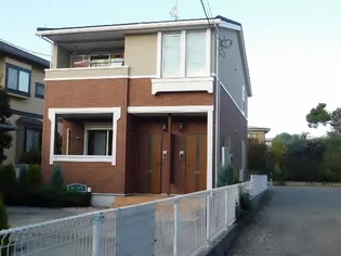 ジューンベリーの画像