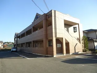 サンフィットの画像