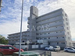 ペルテ花菱の画像