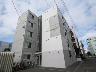 NEXUSE N24の画像
