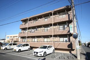 アバンダント初生の画像