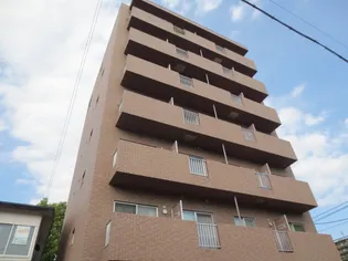 パルムドールの画像