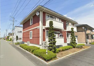 セゾンルピナスの画像