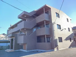 クレマチスの画像