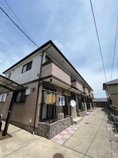 ベルジェの画像