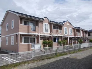 フェリチタKの画像