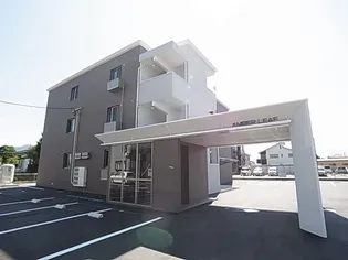 アンバーリーフの画像