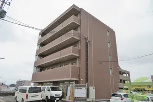 イリーデ ヴィオラの画像