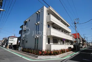 アルトテラの画像