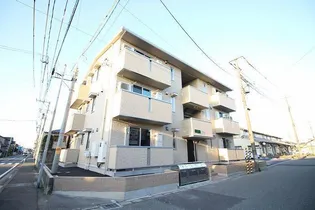 オリーブの画像