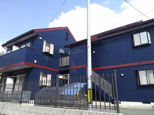 カレッジテッセラの画像